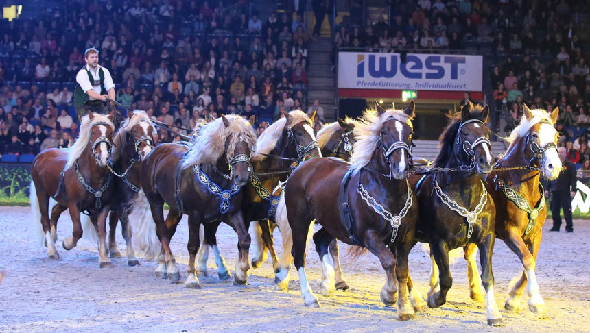 Stuttgart German Masters